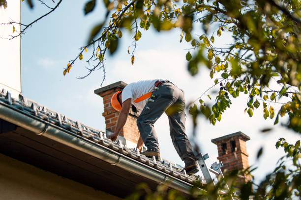 Best Storm Damage Roof Repair  in Algonac, MI