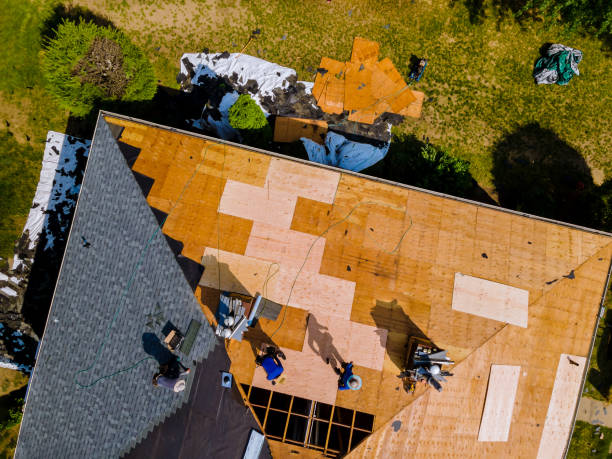 Best Local Roofing Companies  in Algonac, MI