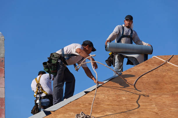 Best Tile Roofing Contractor  in Algonac, MI