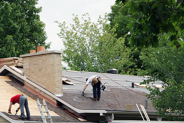 Best Roof Repair Services  in Algonac, MI