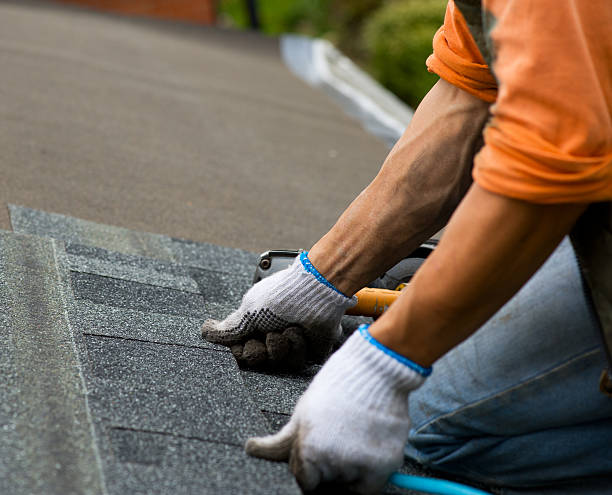 Best Local Roofing Companies  in Algonac, MI