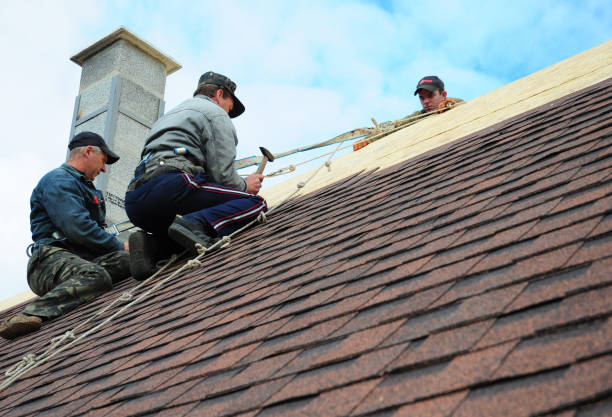 Best Metal Roofing Contractor  in Algonac, MI